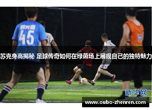 苏克身高揭秘 足球传奇如何在绿茵场上展现自己的独特魅力